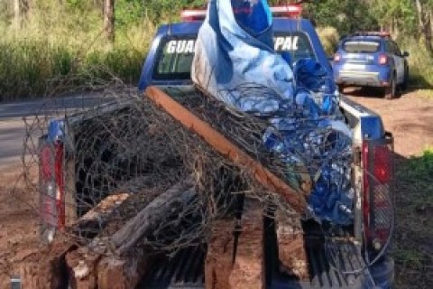 AÇÃO PREVENTIVA: Guarda Civil Municipal impede ocupação irregular e identifica crime ambiental em área pública